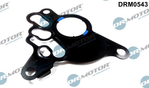 Dr.Motor DRM0543 Vacuum pump gasket DRM0543: Buy near me in Poland at 2407.PL - Good price!