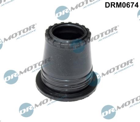 Dr.Motor DRM0674 O-RING,FUEL DRM0674: Buy near me in Poland at 2407.PL - Good price!