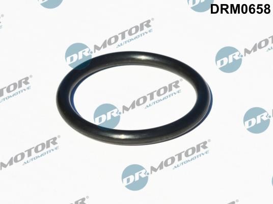 Dr.Motor DRM0658 Turbine gasket DRM0658: Buy near me in Poland at 2407.PL - Good price!
