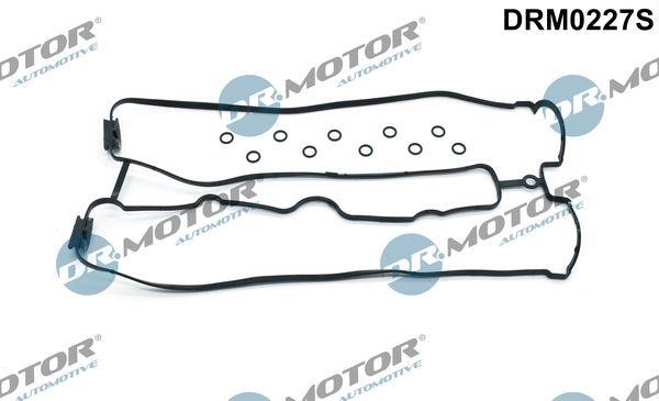 Dr.Motor DRM0227S Valve Cover Gasket (kit) DRM0227S: Buy near me in Poland at 2407.PL - Good price!