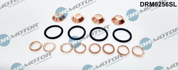 Dr.Motor DRM0256SL Seal Kit, injector nozzle DRM0256SL: Buy near me in Poland at 2407.PL - Good price!