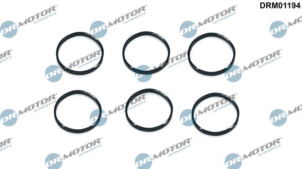 Dr.Motor DRM01194 Seal Ring, spark plug shaft DRM01194: Buy near me in Poland at 2407.PL - Good price!