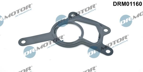 Dr.Motor DRM01160 Vacuum pump gasket DRM01160: Buy near me in Poland at 2407.PL - Good price!