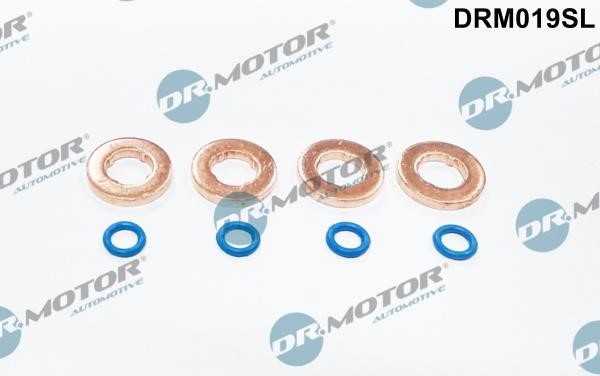 Dr.Motor DRM019SL Seal Kit, injector nozzle DRM019SL: Buy near me in Poland at 2407.PL - Good price!