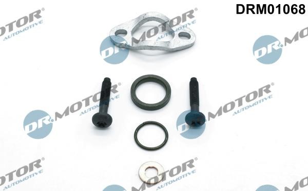 Dr.Motor DRM01068 Bolt and Nut Kit DRM01068: Buy near me in Poland at 2407.PL - Good price!