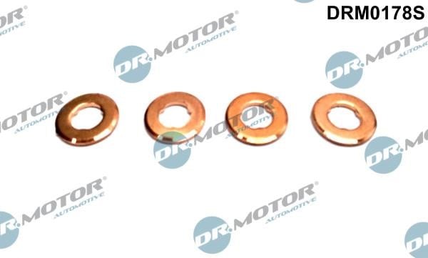 Dr.Motor DRM0178S Seal Kit, injector nozzle DRM0178S: Buy near me in Poland at 2407.PL - Good price!
