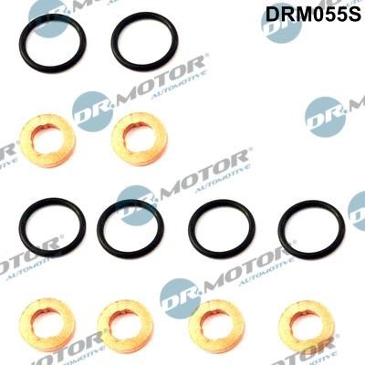 Dr.Motor DRM055S Seal Kit, injector nozzle DRM055S: Buy near me in Poland at 2407.PL - Good price!