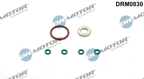 Dr.Motor DRM0830 Seal Kit, injector nozzle DRM0830: Buy near me in Poland at 2407.PL - Good price!