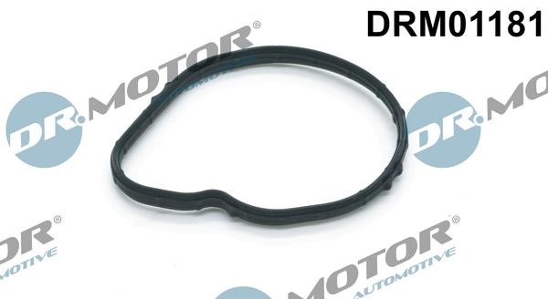Dr.Motor DRM01181 Gasket, thermostat DRM01181: Buy near me in Poland at 2407.PL - Good price!