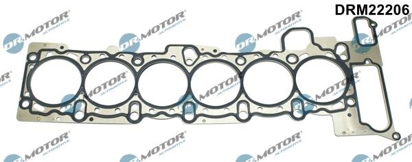 Dr.Motor DRM22206 Gasket, cylinder head DRM22206: Buy near me in Poland at 2407.PL - Good price!