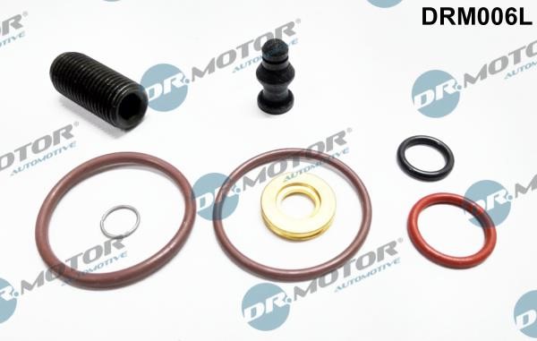 Dr.Motor DRM006L Fuel injector repair kit DRM006L: Buy near me in Poland at 2407.PL - Good price!