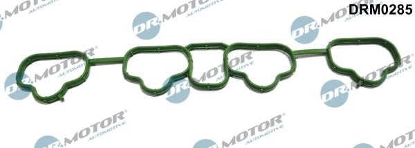 Dr.Motor DRM0285 Gasket, intake manifold DRM0285: Buy near me at 2407.PL in Poland at an Affordable price!