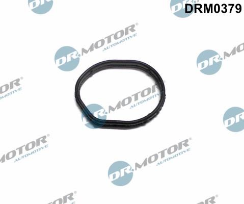 Dr.Motor DRM0379 Crankcase Cover Gasket DRM0379: Buy near me in Poland at 2407.PL - Good price!