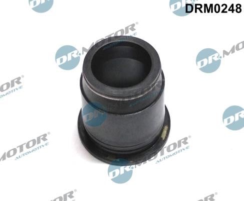 Dr.Motor DRM0248 Seal, injector holder DRM0248: Buy near me in Poland at 2407.PL - Good price!