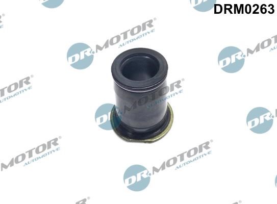Dr.Motor DRM0263 Seal, injector holder DRM0263: Buy near me in Poland at 2407.PL - Good price!