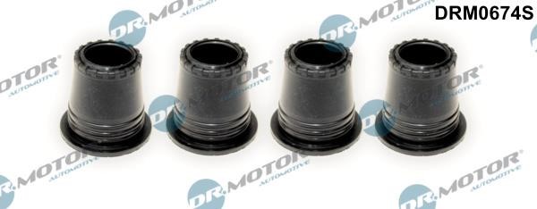 Dr.Motor DRM0674S Nozzle ring DRM0674S: Buy near me in Poland at 2407.PL - Good price!