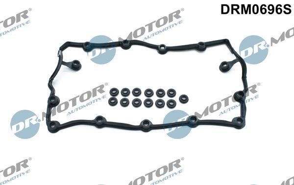 Dr.Motor DRM0696S Valve Cover Gasket (kit) DRM0696S: Buy near me in Poland at 2407.PL - Good price!