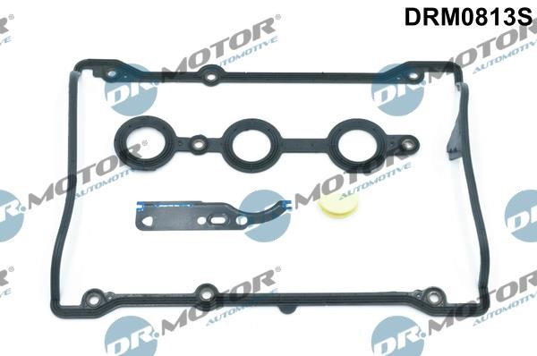 Dr.Motor DRM0813S Valve Cover Gasket (kit) DRM0813S: Buy near me in Poland at 2407.PL - Good price!