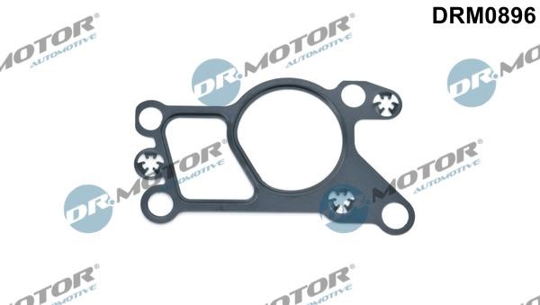 Dr.Motor DRM0906 Turbine gasket DRM0906: Buy near me in Poland at 2407.PL - Good price!