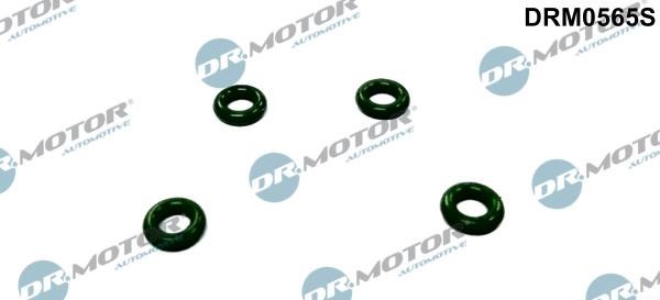 Dr.Motor DRM0565S Seal Ring, nozzle holder DRM0565S: Buy near me in Poland at 2407.PL - Good price!
