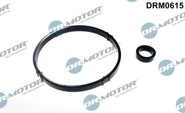 Dr.Motor DRM0615 Gasket Set, oil cooler DRM0615: Buy near me at 2407.PL in Poland at an Affordable price!