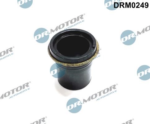 Dr.Motor DRM0249 Seal, injector holder DRM0249: Buy near me in Poland at 2407.PL - Good price!