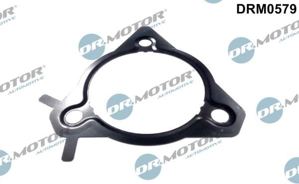 Dr.Motor DRM0579 Fuel pump gasket DRM0579: Buy near me in Poland at 2407.PL - Good price!