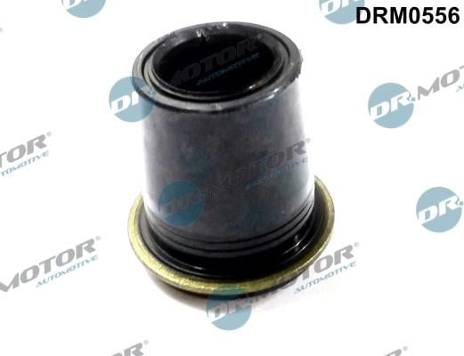 Dr.Motor DRM0556 Seal, injector holder DRM0556: Buy near me in Poland at 2407.PL - Good price!