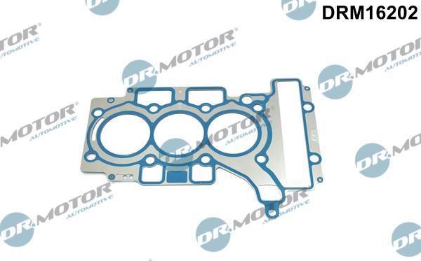 Dr.Motor DRM16202 Gasket, cylinder head DRM16202: Buy near me in Poland at 2407.PL - Good price!