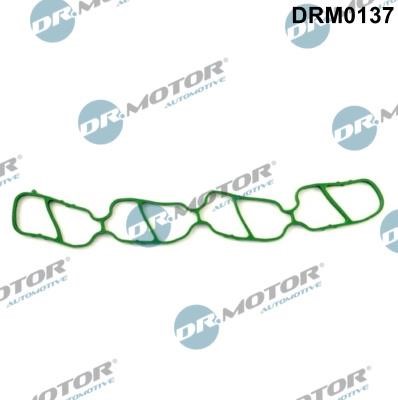 Dr.Motor DRM0137 Gasket, intake manifold DRM0137: Buy near me in Poland at 2407.PL - Good price!