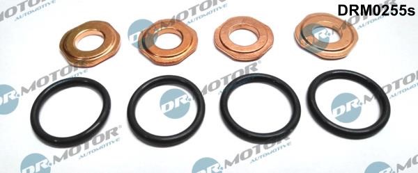 Dr.Motor DRM0255S Fuel injector repair kit DRM0255S: Buy near me in Poland at 2407.PL - Good price!