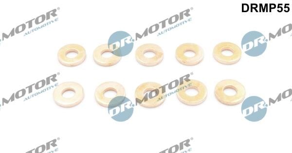 Dr.Motor DRMP55 Seal Kit, injector nozzle DRMP55: Buy near me in Poland at 2407.PL - Good price!