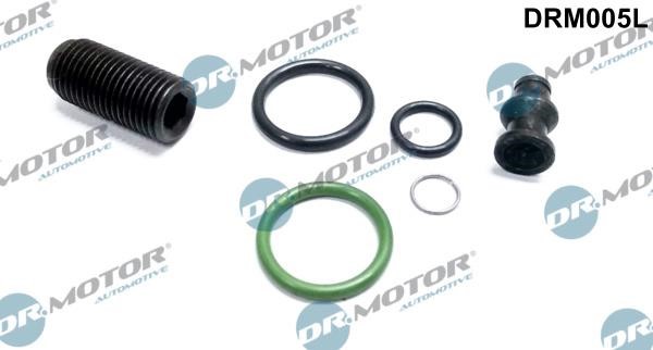 Dr.Motor DRM005L Fuel injector repair kit DRM005L: Buy near me at 2407.PL in Poland at an Affordable price!