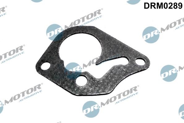 Dr.Motor DRM0289 Gasket, vacuum pump DRM0289: Buy near me at 2407.PL in Poland at an Affordable price!