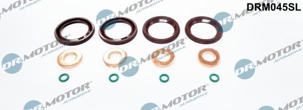 Dr.Motor DRM045SL Fuel injector repair kit DRM045SL: Buy near me in Poland at 2407.PL - Good price!