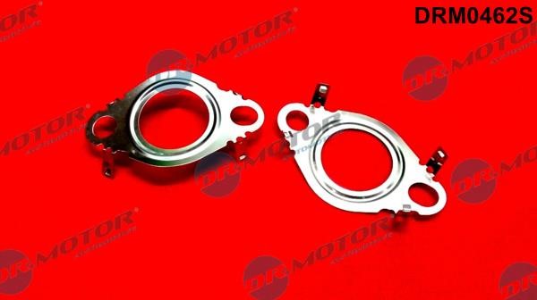 Dr.Motor DRM0462S Gasket Set, EGR system DRM0462S: Buy near me in Poland at 2407.PL - Good price!