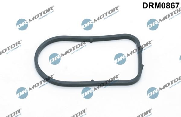 Dr.Motor DRM0867 Gasket, vacuum pump DRM0867: Buy near me in Poland at 2407.PL - Good price!