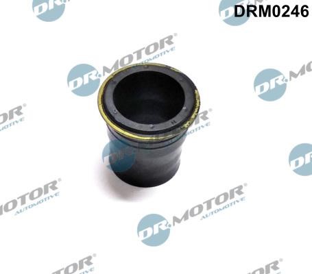 Dr.Motor DRM0246 Сальник DRM0246: Отличная цена - Купить в Польше на 2407.PL!