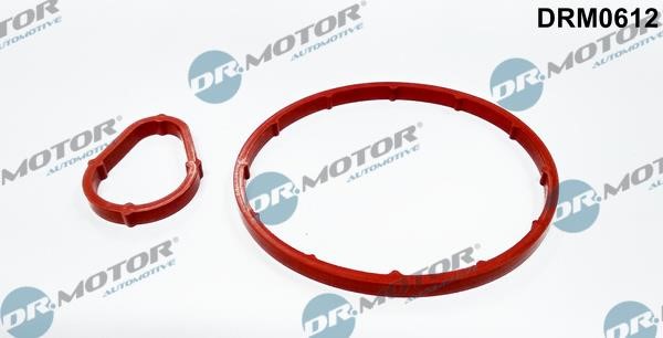 Dr.Motor DRM0612 Vacuum pump gaskets, kit DRM0612: Buy near me in Poland at 2407.PL - Good price!