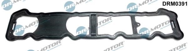 Dr.Motor DRM0391 Gasket, cylinder head cover DRM0391: Buy near me in Poland at 2407.PL - Good price!
