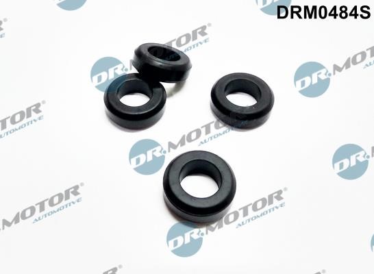 Dr.Motor DRM0484S O-rings, set DRM0484S: Buy near me in Poland at 2407.PL - Good price!
