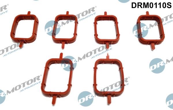Dr.Motor DRM0110S Intake manifold gaskets, kit DRM0110S: Buy near me in Poland at 2407.PL - Good price!