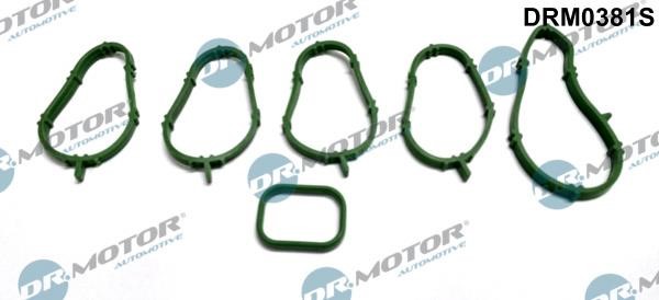 Dr.Motor DRM0381S Intake manifold gaskets, kit DRM0381S: Buy near me at 2407.PL in Poland at an Affordable price!