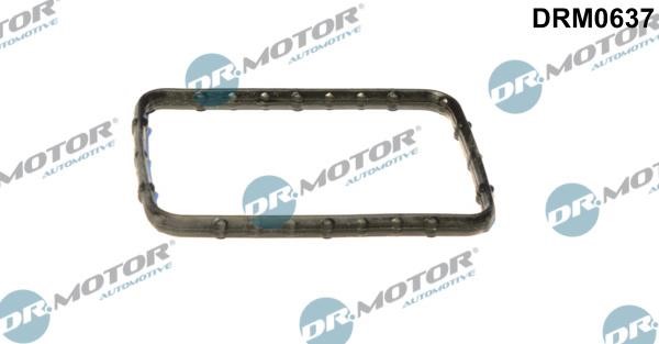 Dr.Motor DRM0637 Termostat gasket DRM0637: Buy near me in Poland at 2407.PL - Good price!