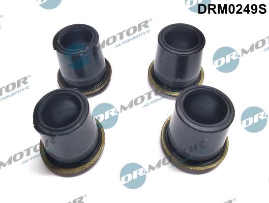 Dr.Motor DRM0249S Seal, injector holder DRM0249S: Buy near me in Poland at 2407.PL - Good price!