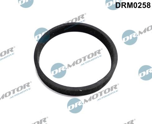 Dr.Motor DRM0258 Turbine gasket DRM0258: Buy near me in Poland at 2407.PL - Good price!