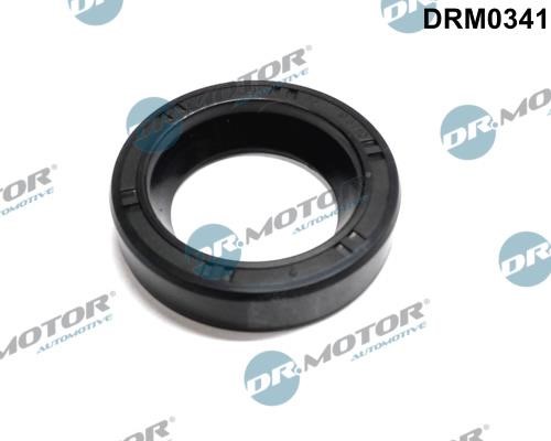 Dr.Motor DRM0341 Seal, injector holder DRM0341: Buy near me in Poland at 2407.PL - Good price!