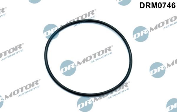 Dr.Motor DRM0746 Gasket, vacuum pump DRM0746: Buy near me in Poland at 2407.PL - Good price!