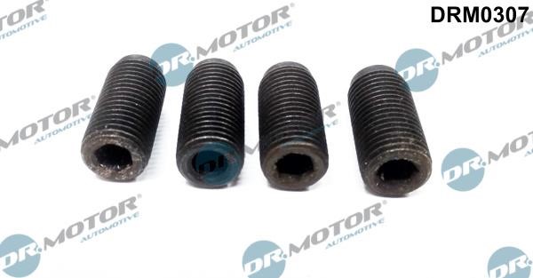 Dr.Motor DRM0307 Adjustment Screw, injector pump DRM0307: Buy near me in Poland at 2407.PL - Good price!