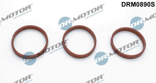 Dr.Motor DRM0890S Intake manifold gaskets, kit DRM0890S: Buy near me at 2407.PL in Poland at an Affordable price!